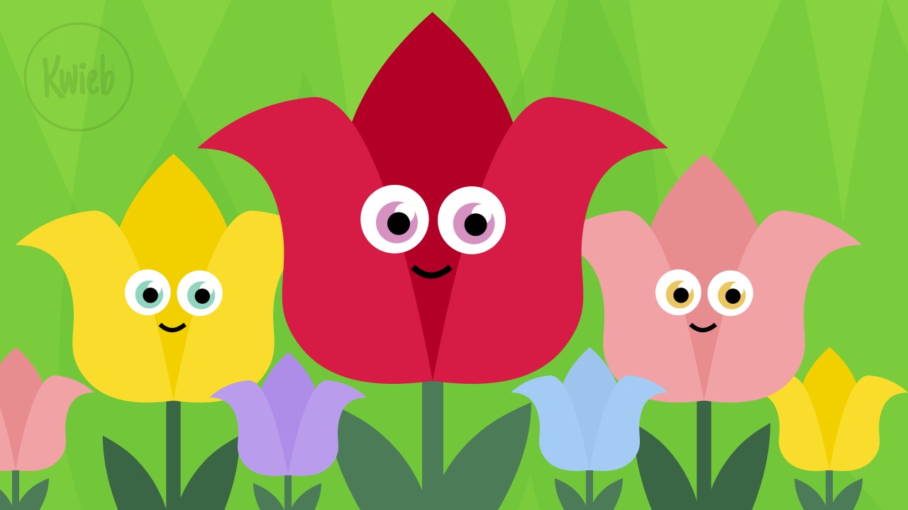 Update uit groep 6/7