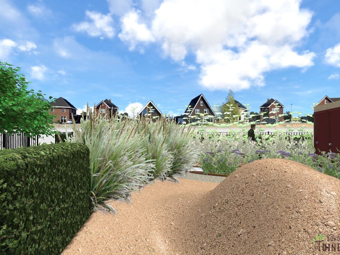 Tuin biodiversiteit - klimaatadaptief - CO2 reducerend Tuin biodiversiteit - klimaatadaptief - CO2 reducerend