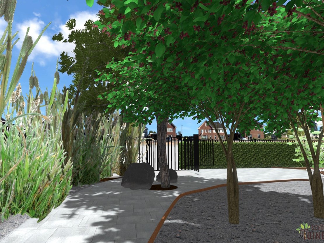 Chill plek onder boom Chill plek onder boom